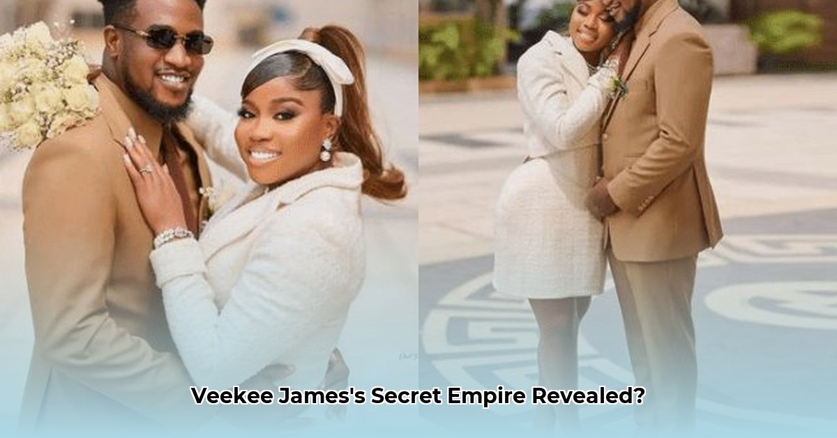 veekee-james-net-worth